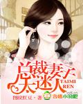 总裁妻子很抢手