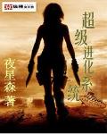 超级进化系统