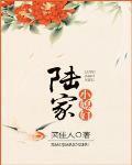 陆家小媳妇