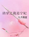 清穿之我是宁妃TXT