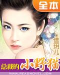 总裁的小野猫小说