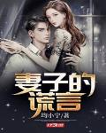 妻子的谎言电视剧全集免费完整版