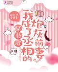穿书后我成了丞相的炮灰前妻在线阅读