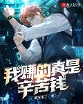 我赚的真是辛苦钱小说