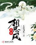 无尽相思风