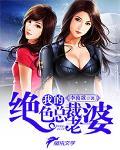 我的绝色总裁老婆