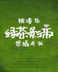 被渣后绿茶影帝想撬走我