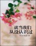 就当我们从没认识过忧凉盛夏