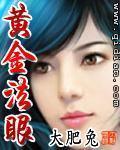 黄金法眼免费下载