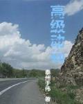 高级动物