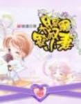 腹黑大叔宠小妻免费阅读全文