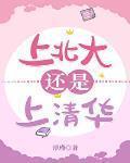 上北大还是上清华小说笔趣阁