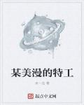 某美漫的特工 小说阅读