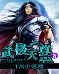 武极天尊小说陈天极