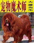 宠物魔术师小说