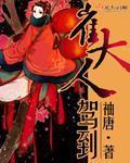 崔大人驾到免费观看
