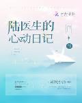 陆医生的心动日记多少钱一套