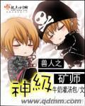 兽人之神级矿师百度网盘