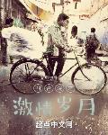四合院之激情岁月笔趣阁