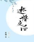 逃婚之后全文阅读