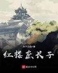 红楼庶长子贾琰封王天下白兔
