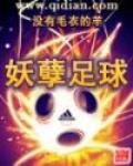 妖孽足球笔趣阁