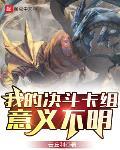 我的决斗卡组意义不明txt