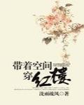 带着空间穿红楼行医