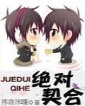 绝对契合小说