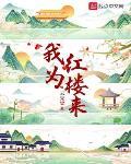 我为红楼来TXT小说下载