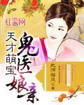 天才萌宝毒医娘亲