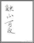触不可及孙红雷