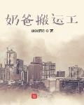 奶爸搬运工 txt奇书网