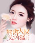 纯情大叔难招架 小说