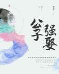 公子强娶的小说内容介绍