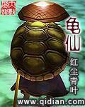 龟仙人的乌龟