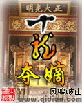 十龙夺嫡TXT下载