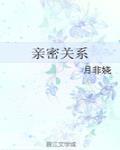 亲密关系这本书的简介