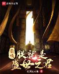 崇祯朕就是盛世之君TXT下载
