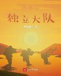 亮剑独立大队小说
