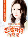 恶魔哥哥的禁宠小说