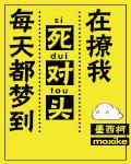 每天都梦到死对头在撩我