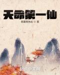 天命第一仙沈墨百度百科