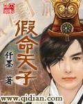假命天子高清土耳其剧百度云