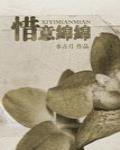 惜意绵绵小说