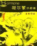 荷尔蒙式爱情主角是谁