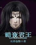 暗夜君王无措仓惶小说