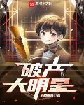 破产大明星TXT下载