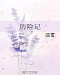 历险记小说