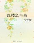 红楼之皇商TXT八爷党